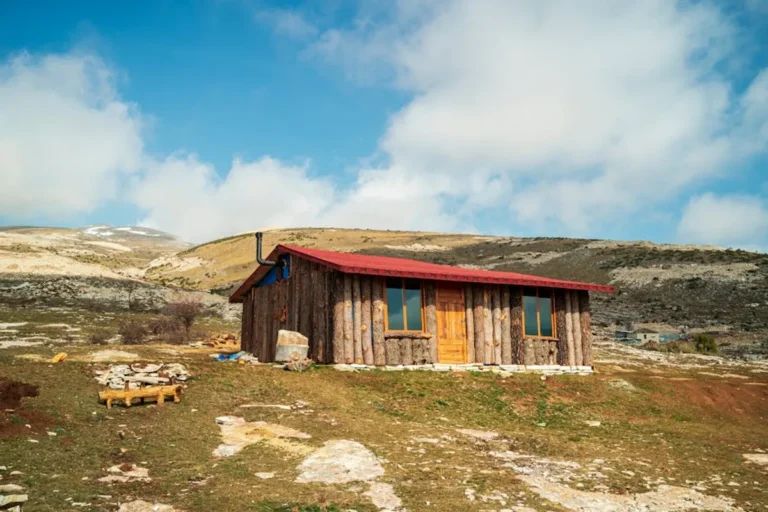 Cabin Building Roadmap