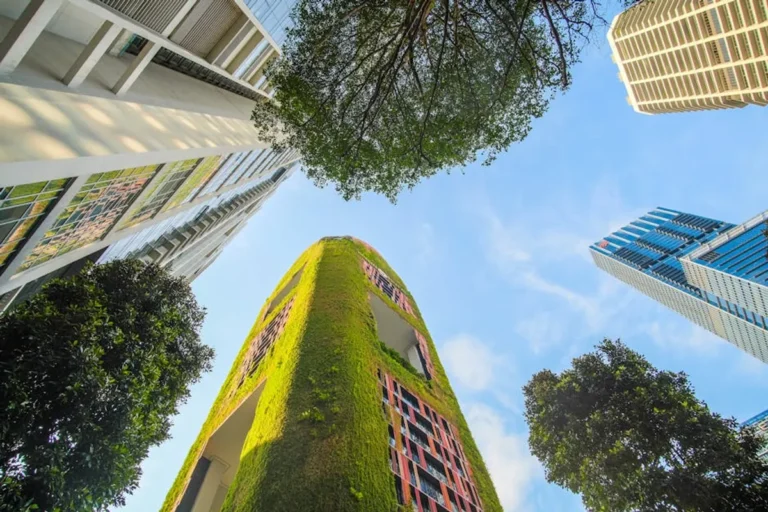 Green Building Basics