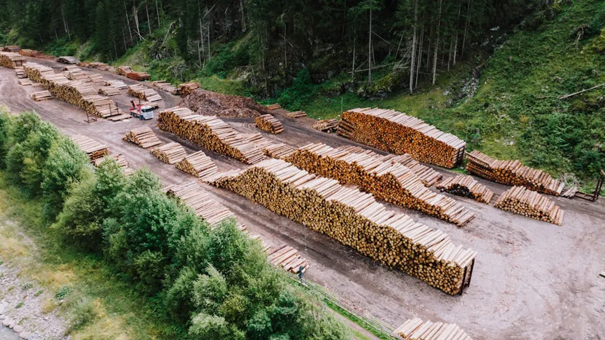How to Choose Timber for a Durable Home Build