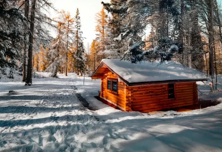 Log Cabin vs Timber Frame Home: Key Differences