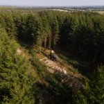 Embodied Carbon Accounting for Wood Construction Has Specific Methodological Issues That Matter