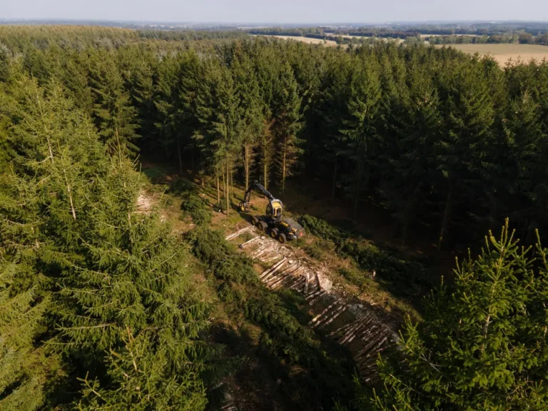 Embodied Carbon Accounting for Wood Construction Has Specific Methodological Issues That Matter