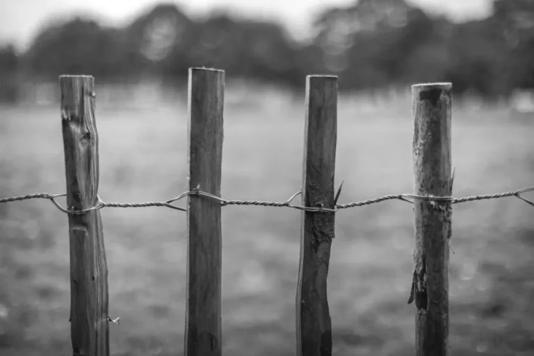 Wood Fence Maintenance